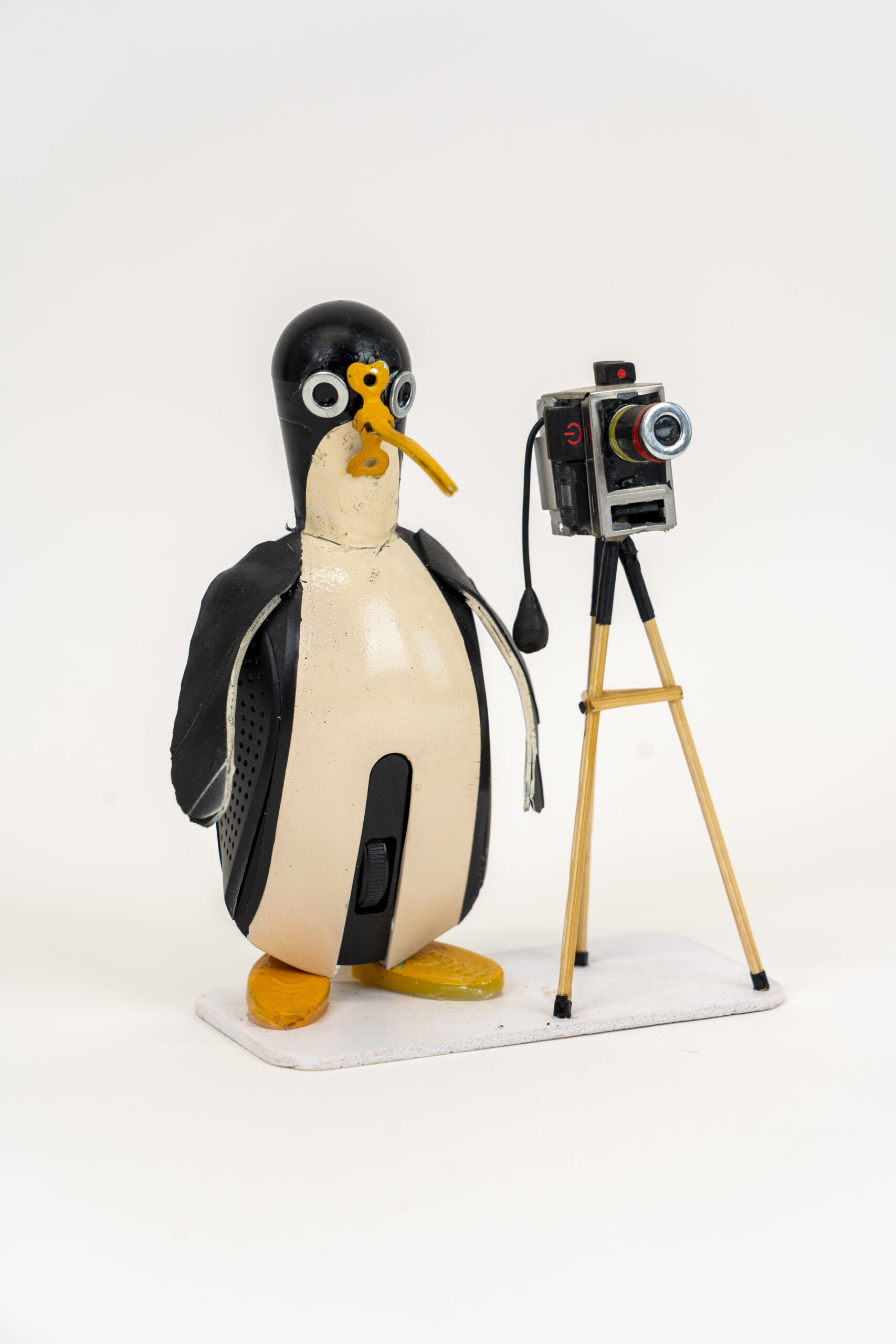 Pinguino fotografo