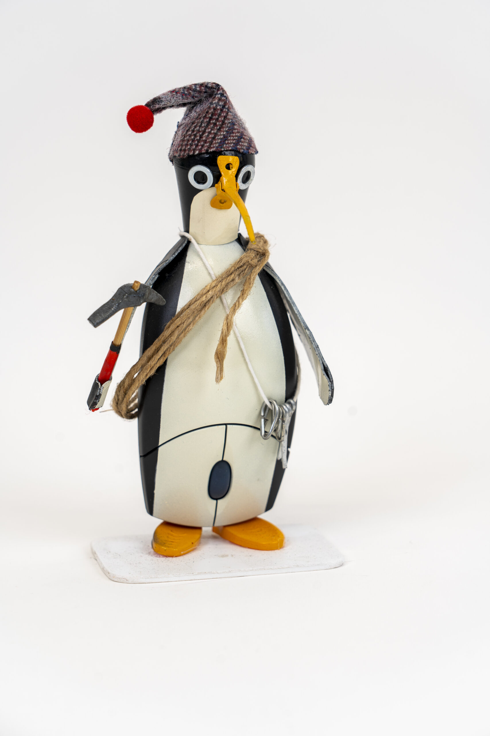 Pinguino alpinista