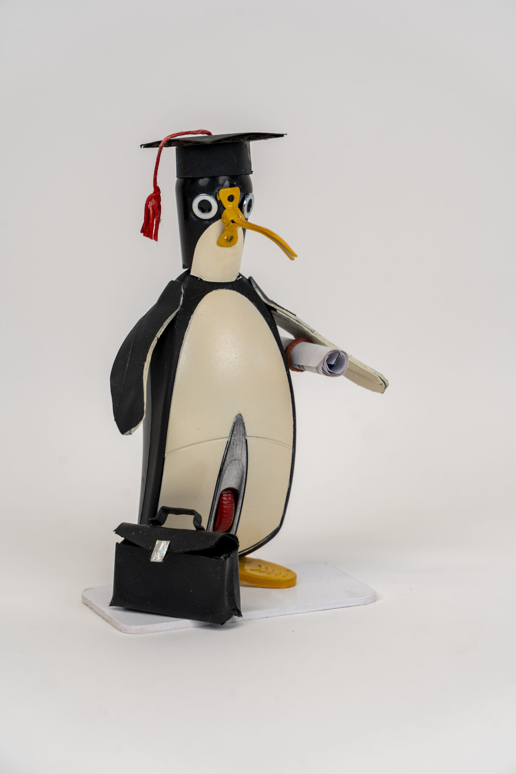 Pinguino laureato