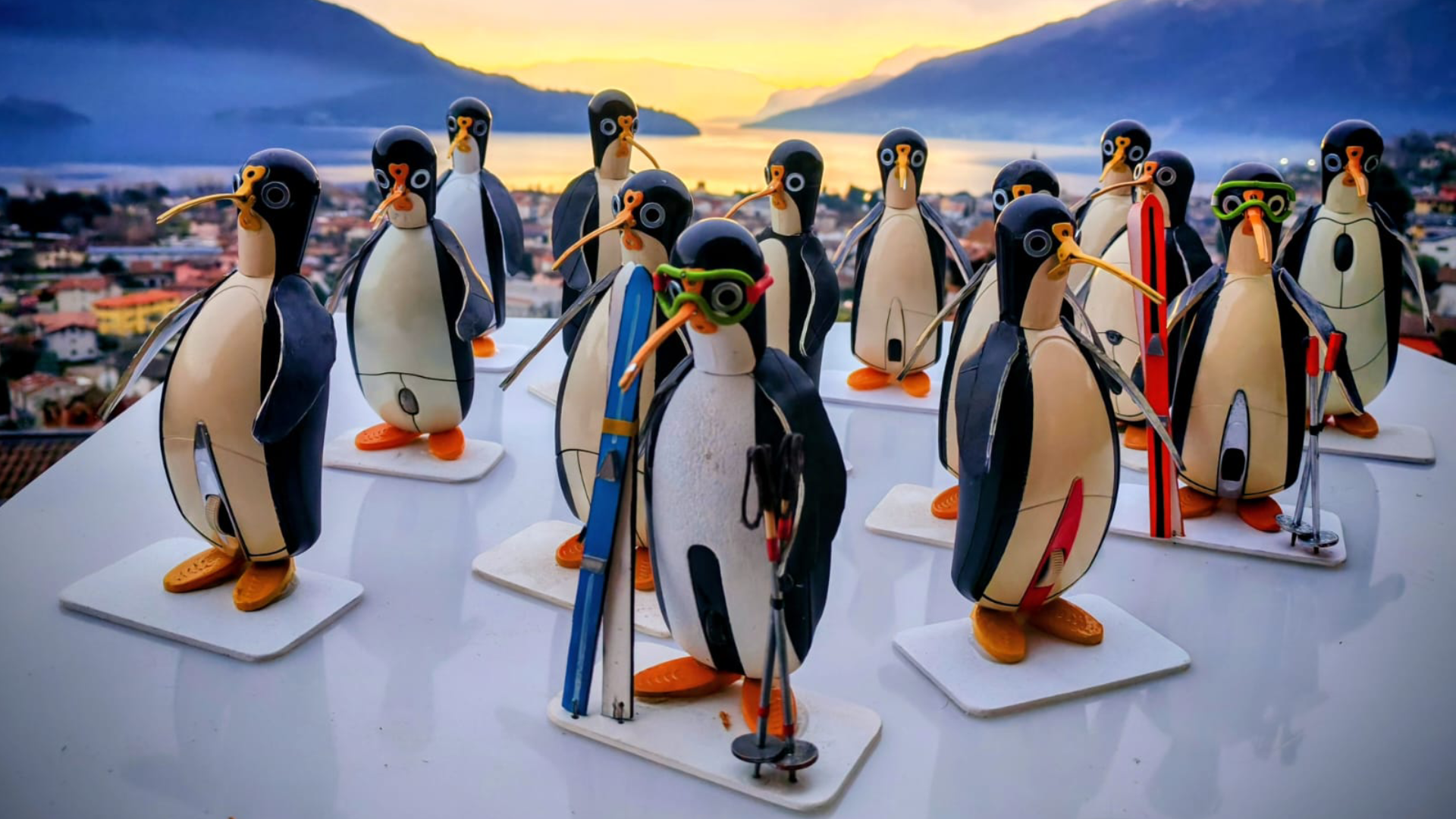 pinguini-2 pinguini-2